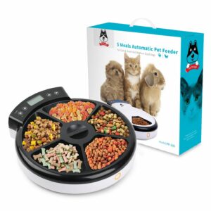 Best Automatic Cat Feeder Wet Food