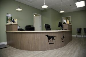 Affordable Pet Vaccines Nyc
