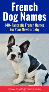 Brown Female French Bulldog Names